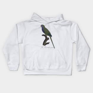 Monk Parakeet / La Perruche Souris - Jacques Barraband 19th century Illustration Kids Hoodie